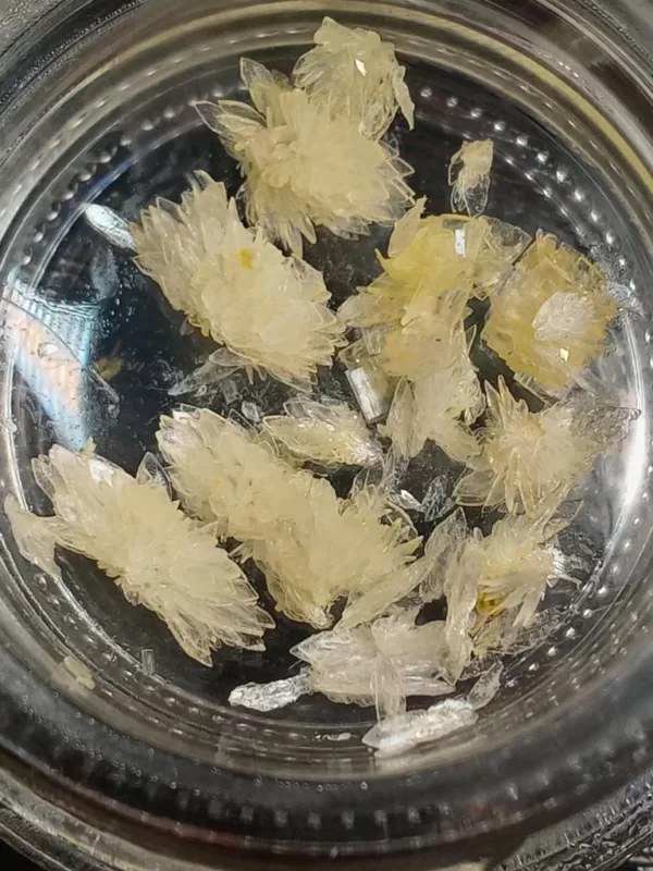 dmt crystals