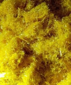 import placeholder for 8815